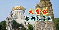 鸡巴插阴道的视频中国浙江-绍兴大香林旅游风景区